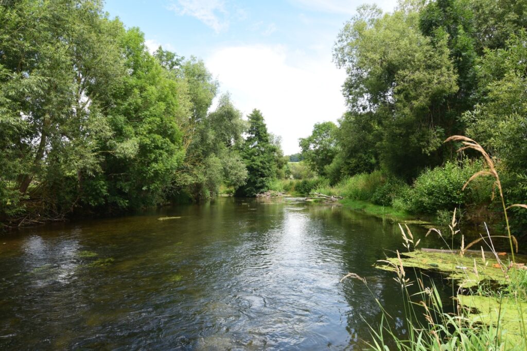 Das Bild zeigt den Fluss Nethe bei Hembsen.
